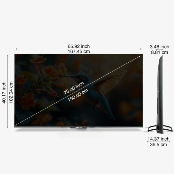 Endicon 189 cm 75" 4K Ultra HD Smart Led Google TV EC75XAV-GT - Image 3